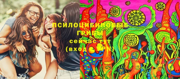 ешки Володарск