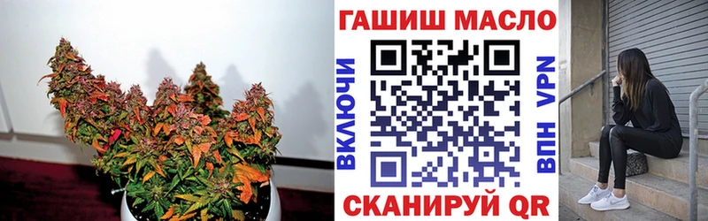 как найти закладки  Новохопёрск  ТГК концентрат 